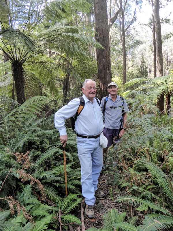 Monga National Park Pinkwood Viewing | BATEMANS BAY BUSHWALKERS INC.