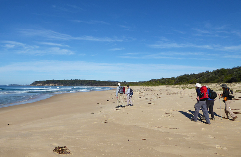 Termeil Point To Nuggan Point Circuit | BATEMANS BAY BUSHWALKERS INC.