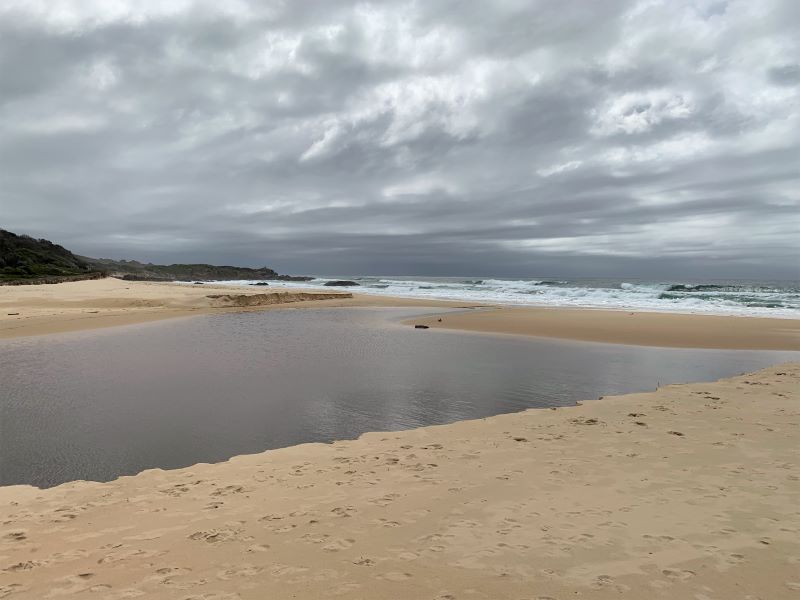 Bingi to Meringo Beach | BATEMANS BAY BUSHWALKERS INC.