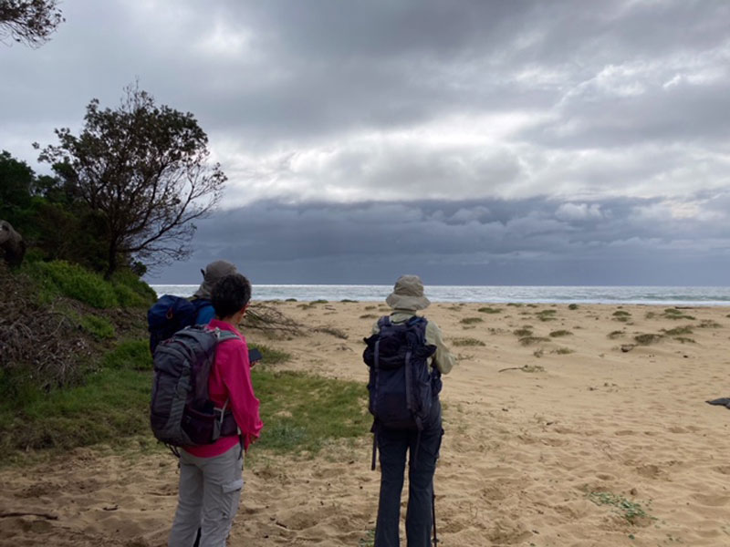 Congo to Tuross – Dreaming Track – One Way | BATEMANS BAY BUSHWALKERS INC.