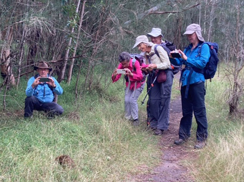 Congo to Tuross – Dreaming Track – One Way | BATEMANS BAY BUSHWALKERS INC.